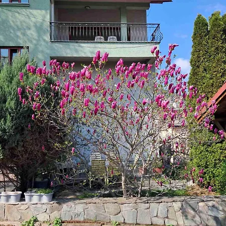 Skyline View Apartamento Skopie